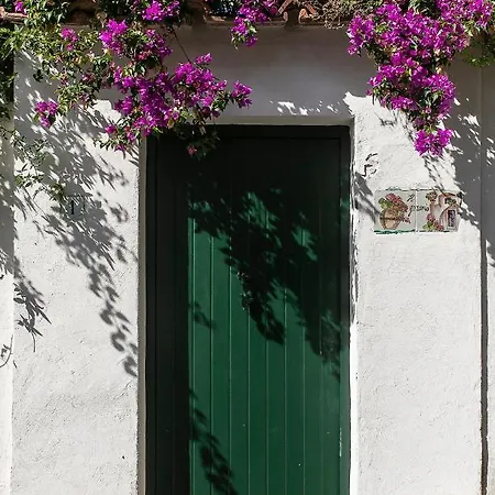 Bed & Breakfast Il Geranio 2*